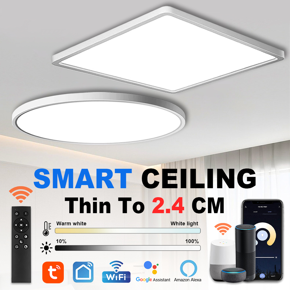 Commercial Kitchen Lighting - Modern LED Ceiling Light Smart Tuya