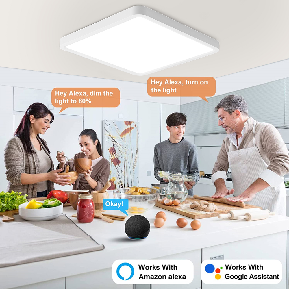 Modern LED Ceiling Light Smart - Commercial Kitchen Lighting recension och pris